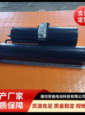 直流48-60V电动液压推杆小型一体式顶杆升降自卸液压顶油缸