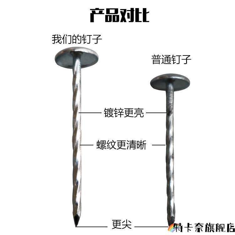 镀锌大头钉加长大帽木用钉子瓦楞钉螺丝钉水泥墙钉