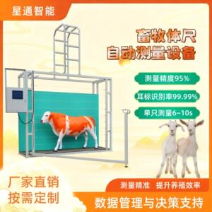 牛羊全自动体重体尺测量设备检测畜牧生长变化精准管理