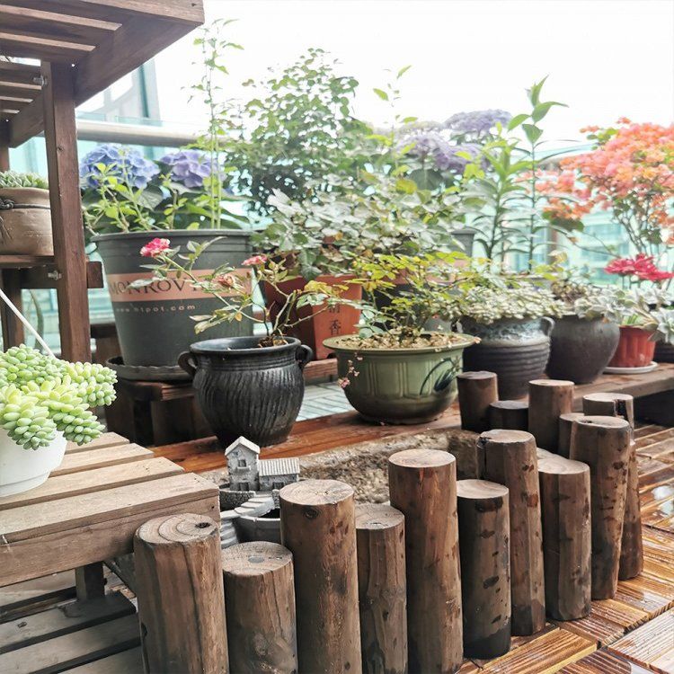 高低整圆木围栏木桩连木栅栏矮篱笆花园装饰围挡护栏实木碳化防腐