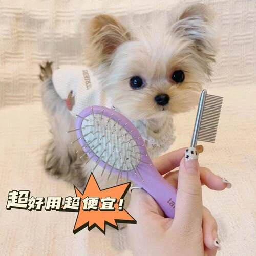 约克夏气垫梳小狗狗梳毛专用梳子毛发开 结嘴毛梳面梳脸梳幼犬用