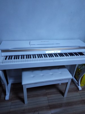 海邦电钢琴怎么样（前车之鉴）有必要告诉大家真相