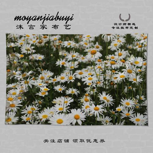 小众清新小雏菊花背景挂布宿舍客厅遮丑海报墙壁房间卧室装饰挂毯