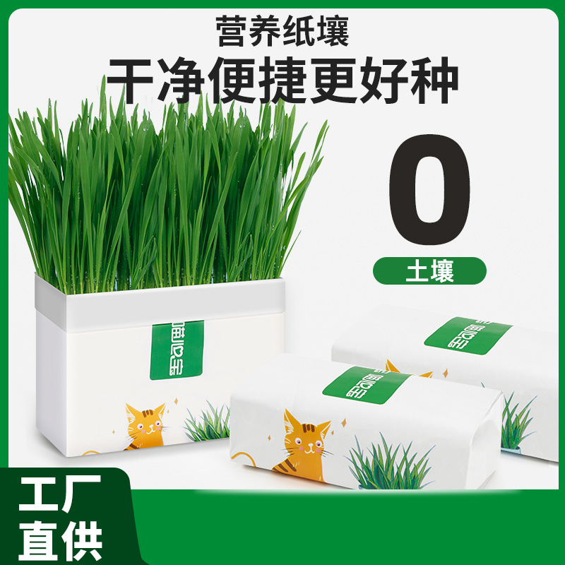 毛球猫水培草种种子种植套装鱼干