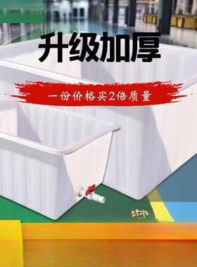 养殖号牛筋箱塑料加厚带排水大水盖养鱼龟AL102342储水带长方形泡