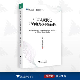 中国式现代化开启电力改革新征程王鹏王冬容李阳浙江大学出版社