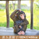 绿地花园园林景观庭院猴子摆件雕塑仿真动物礼品公园户外家居装 饰