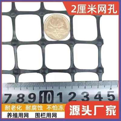 塑料围栏网格小孔两厘米户外家用阳台防护养殖漏粪果蔬大棚防鸟网