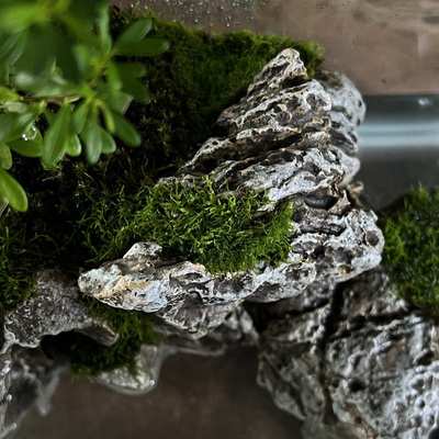 天空之城创意吸水石水族箱一石成景微景观鱼缸造景装饰桌面摆件