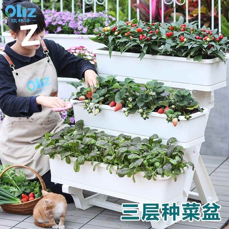 阳台种菜专用盆室内花架家庭蔬菜种植箱草莓盆花盆家用多层盆厂家