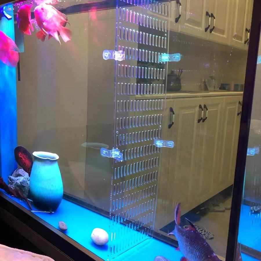 高透明亚克力鱼缸分隔板鱼缸隔板水族箱隔板任意定制