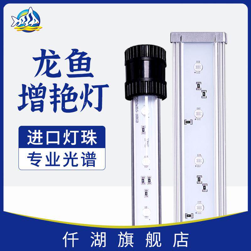 仟湖专用红龙灯鱼缸灯红龙LED灯水中灯潜水灯红金龙鱼发烤色神灯