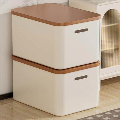 Rectangular storage box with lid for organizing small items,