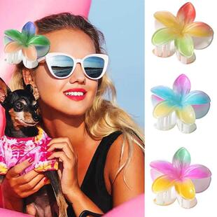 Hair Flower Clip Clips Hawaiian Plumeria Beach Flowers Claw