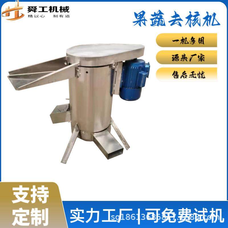 商用大型水果去核机多功能去果核果籽打浆机全自动红枣脱核机