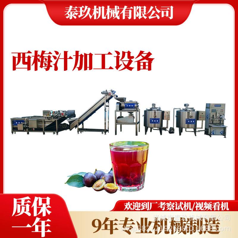 新疆喀什西梅汁加工设备黑莓汁加工机器都江堰小型猕猴桃汁生产线
