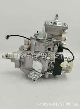 国产喷油泵 22100-1C140 196000-2420和22100-54860 096000-4940