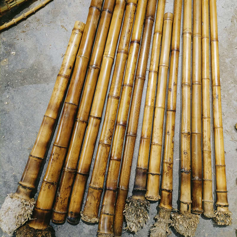 箫料箫材不易裂石竹桂竹笛箫尺八料干料南萧南箫洞箫笛子竹笛尺八