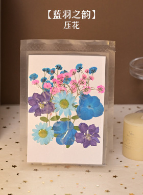 diy造纸术古法干花材料餐桌花艺