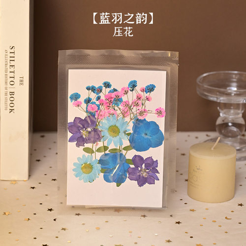 diy造纸术古法干花材料餐桌花艺