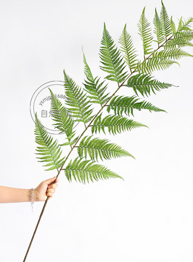 绿植装饰花枝藤条树皮真道装饰仿假条猴蕨叶子鲜71103枝桌面花搭