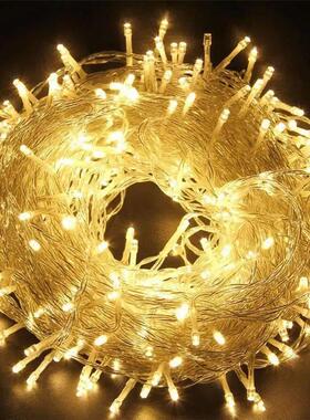 Novelty 600 Leds 100M Flasher String Lighting For Outdoor/ I
