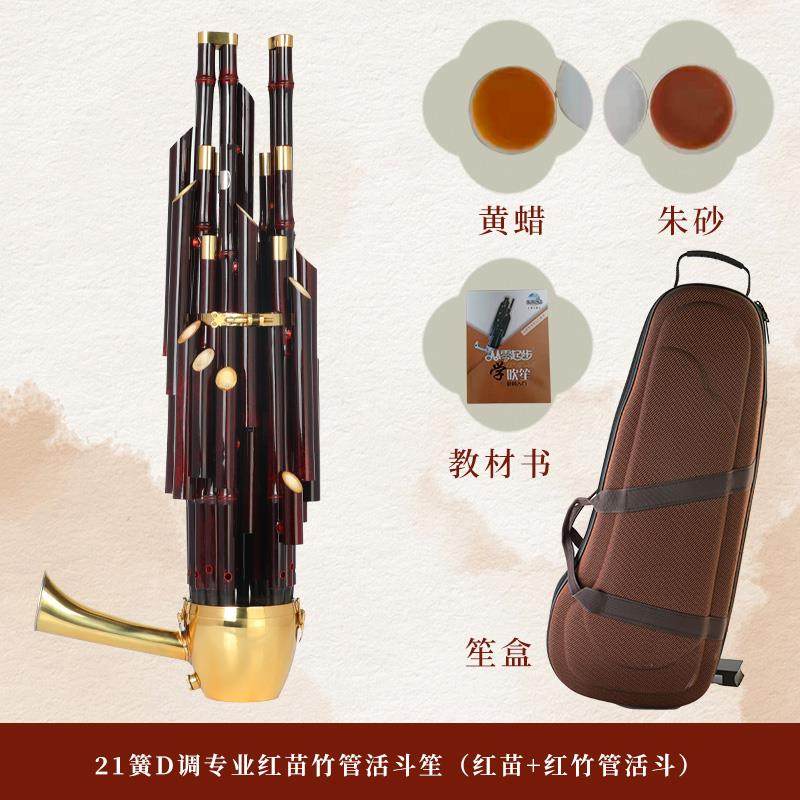 正品宏艺凤鸣扩乐音紫竹21簧笙器圆方初学者笙笙包专业奏演厂家直