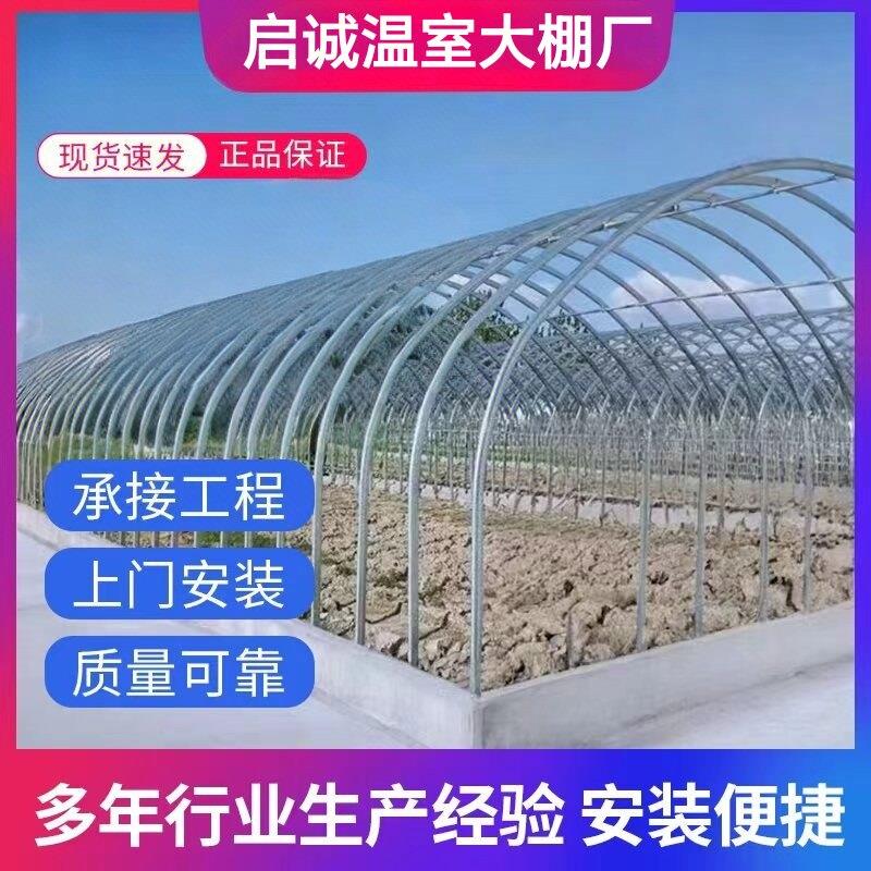 养殖种植大棚骨架家用温室保温大棚种植蔬菜连体连栋棚热镀锌全套