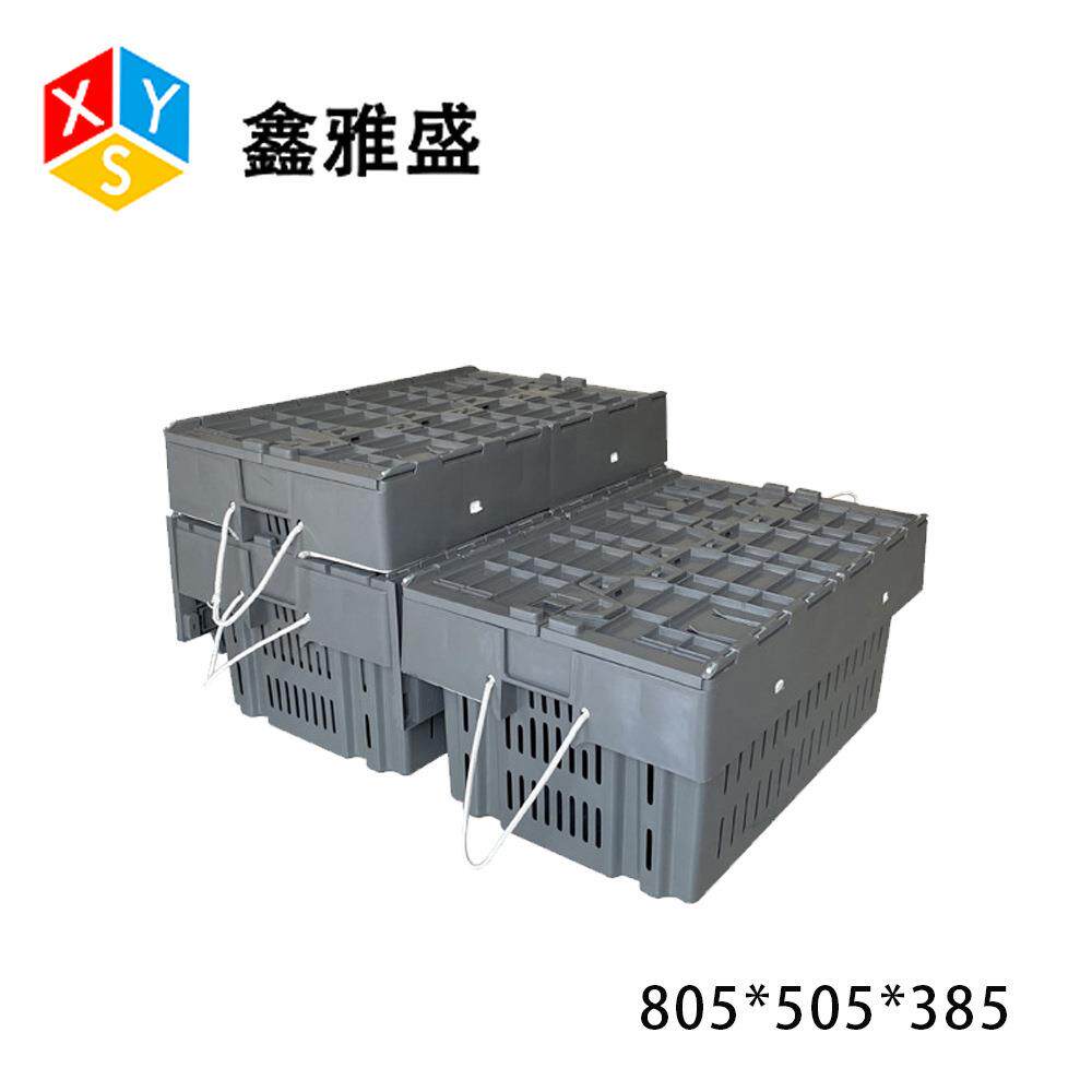 058*FBV505*5澳龙周养殖箱海鲜养殖周转一8体转筐斜插式物流中转