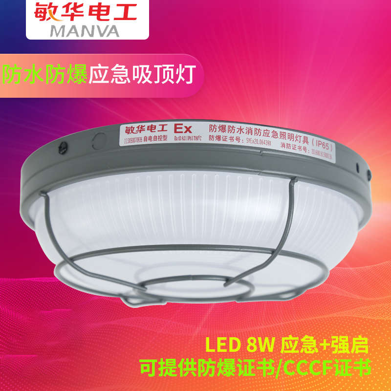 敏华电工防水防爆8W圆形消防应急三防吸顶井道壁灯IP65室外M3021