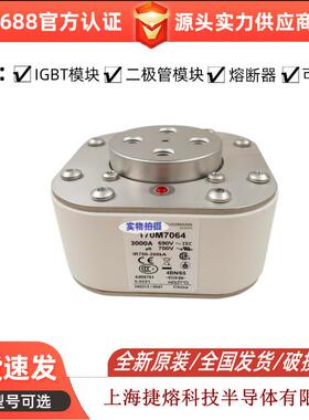 170M7064 快速熔断器 保险丝 电子元器件 量大价优 可开专票