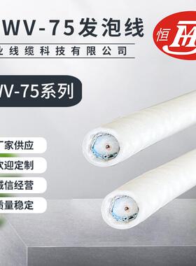 物理发泡同轴电缆SYWV75-5(5CFB)有线电视线高传输抗干扰良好