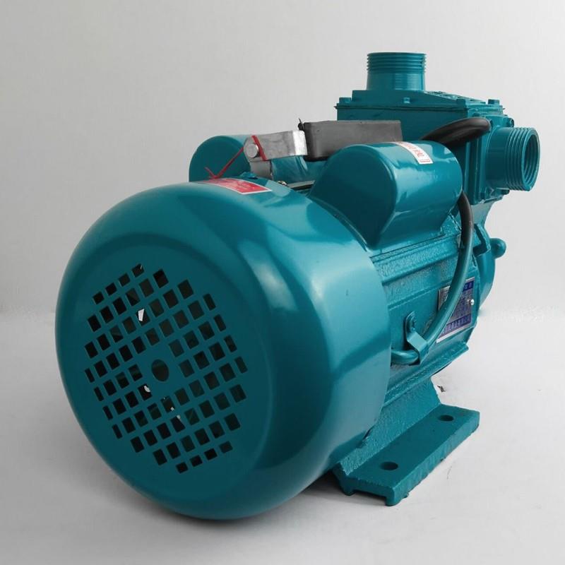 220V家型大NQK吸力水井抽水泵农村水自塔小供水增压用单相吸泵
