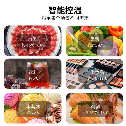 -20冷冻车载冰箱压缩机制冷20L车家两用12v24v小冰箱alpicool