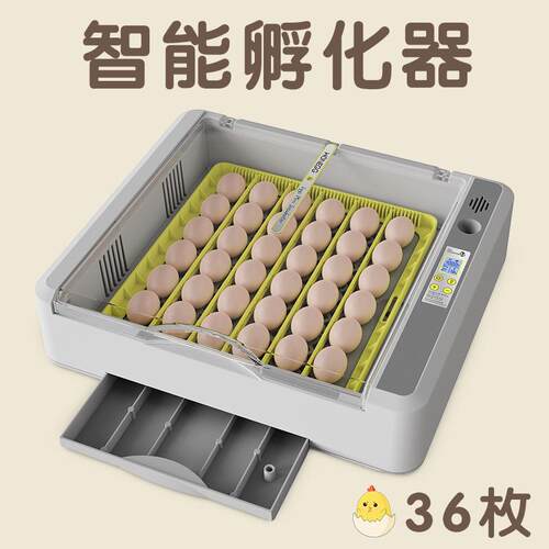 跨境家用孵化机芦丁鸡养殖孵蛋器设备家禽畜牧36枚鸡蛋智能孵化器