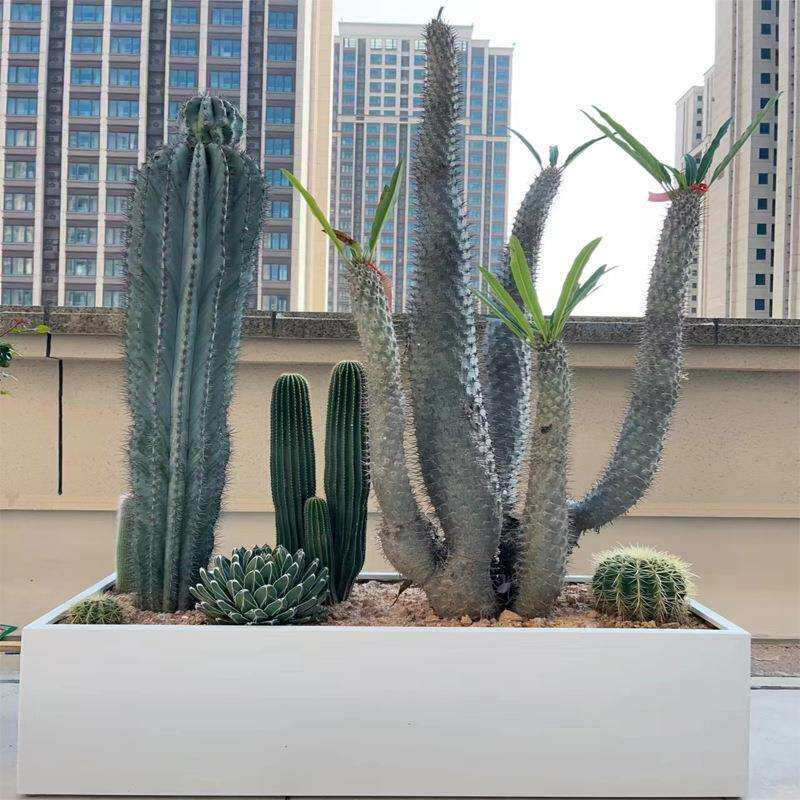 阳台种植箱户外不锈钢花箱商业广场咖啡店隔断花架露台花槽花坛