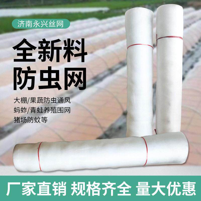 大棚防虫网农用养殖网蔬菜网蝗虫果树果园网防鸟网尼龙网加密加厚