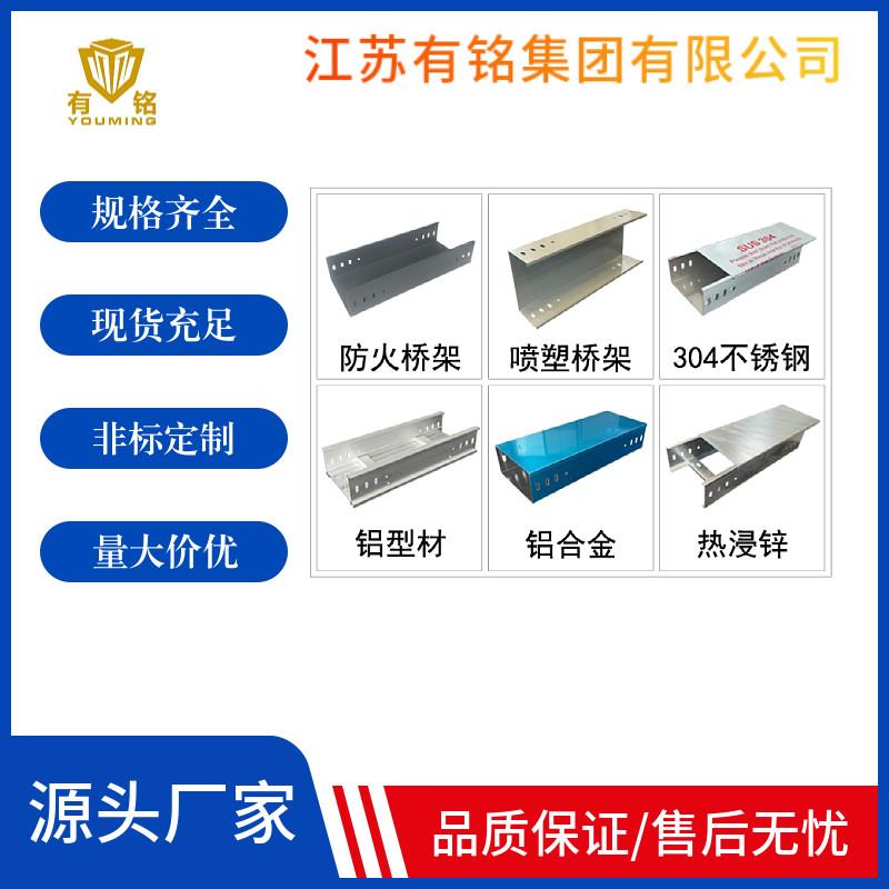 厂家直销不锈钢热浸锌铝合金线槽梯式大跨距定制彩色防火喷塑桥架
