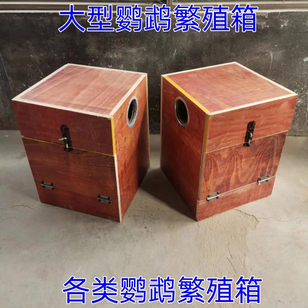 带防咬圈超大鹦鹉繁殖箱鸟窝养殖用结实耐用木头窝旋风牡丹虎皮窝