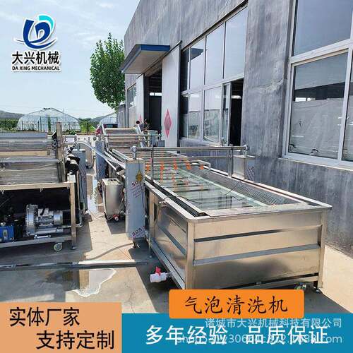 农残留果蔬气泡清洗机杨梅蓝莓气泡清洗机大型蔬菜药材清洗机