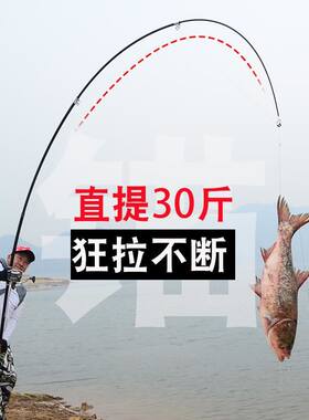 专业超硬远投巨物锚鱼杆
