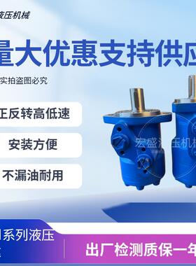 BM1系列液压马达50/63/80/100/125/160/200/250/315/400