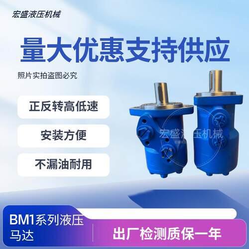 BM1系列液压马达50/63/80/100/125/160/200/250/315/400