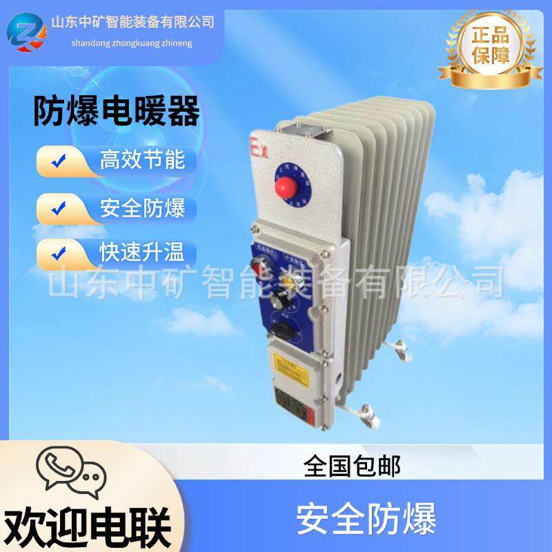 BDR防爆电热油汀电暖器 2000w防爆电暖气 化工用防爆油汀