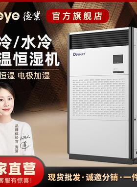 工业除湿机恒温恒湿机德业DY-HW8实验室博物馆电信机房恒温恒湿机