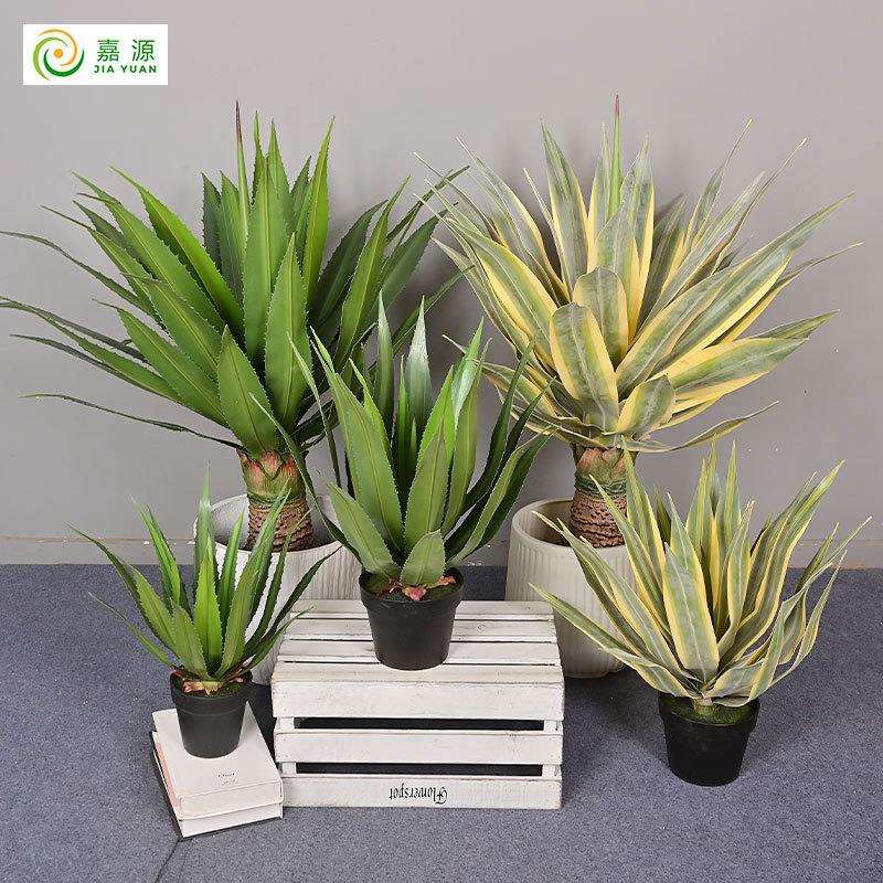 感软胶仿龙龙zj961222舌兰沙漠绿植物室内家居商真场造景盆栽摆手