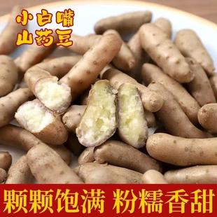 人工挑选新鲜小白嘴铁棍山药豆5斤农家山药蛋零余子粉糯宝宝产地
