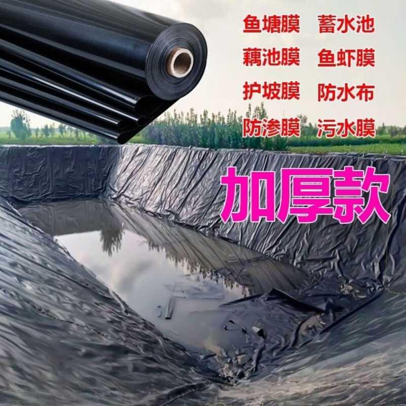 防水土工膜鱼塘放渗膜养殖防漏水池塘塑料薄膜布加厚土工膜覆盖膜