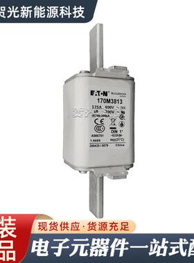 快速低压熔断器170M3228/170M3813/170M3814/170M3815/170M3816D