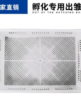 厂家直销雏鸡盘一体成型雏鸡育苗箱白色浅筐多规格孵化盘出雏筐